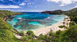 top tourist attractions in honolulu hawaii