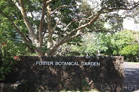 foster botanical gardens