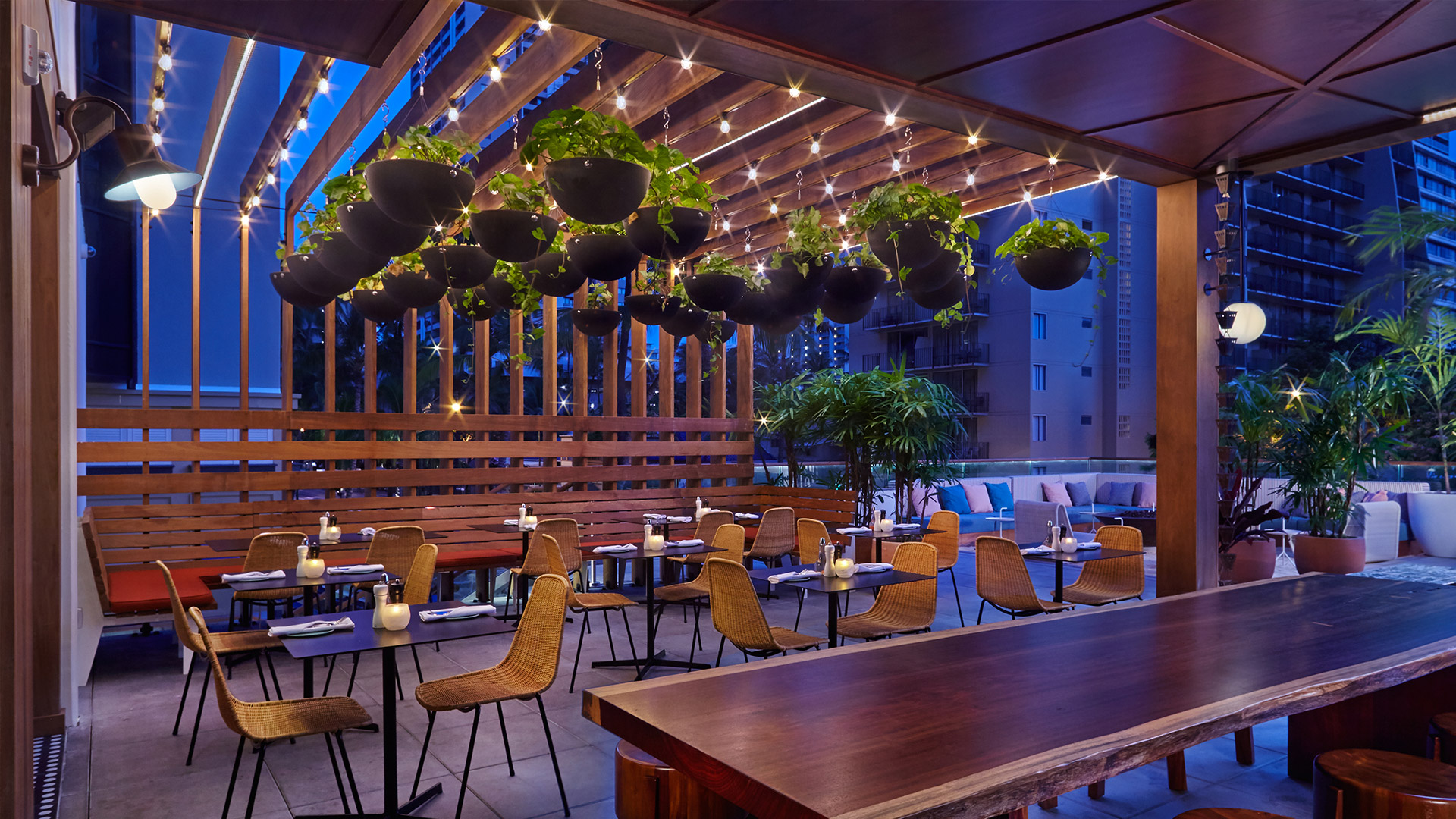 rooftop bar waikiki