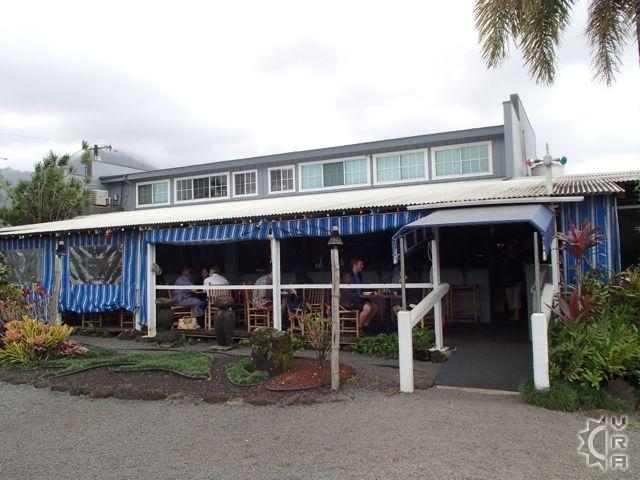 hanalei dolphin