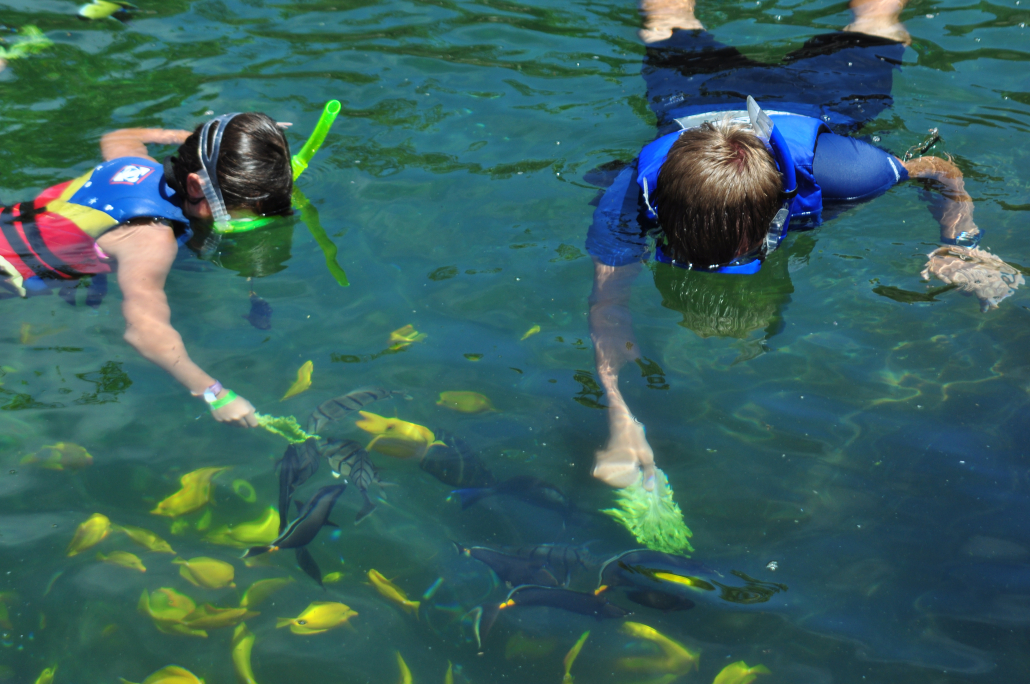 sea life park in oahu